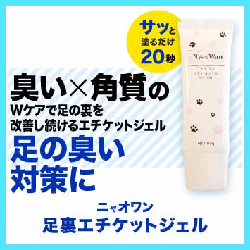 ニャオワン(トクトクコース)