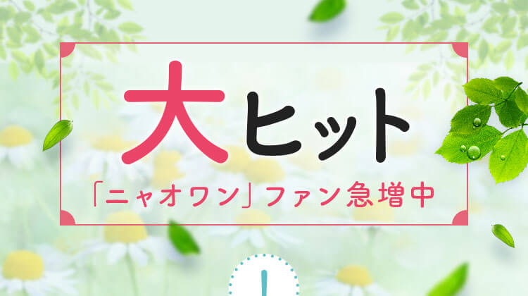 大ヒット「ニャオワン」ファン急増中