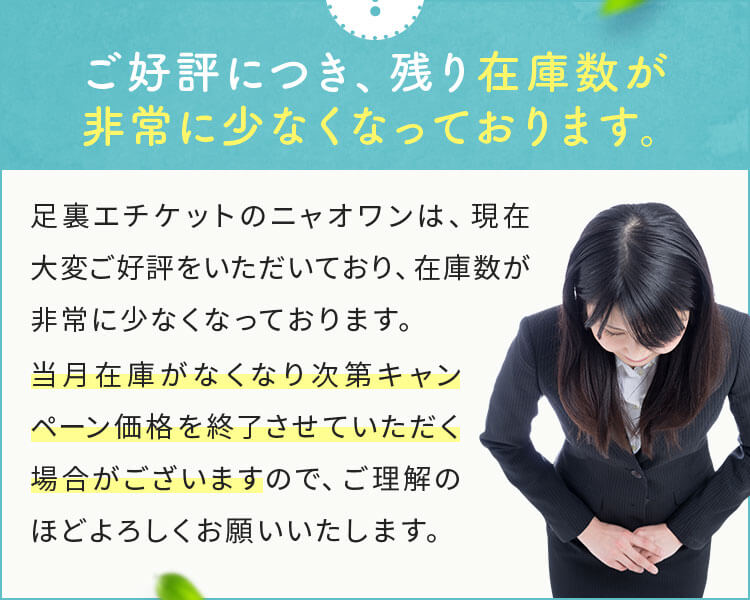 ご好評につき、残り在庫数が非常に少なくなっております。