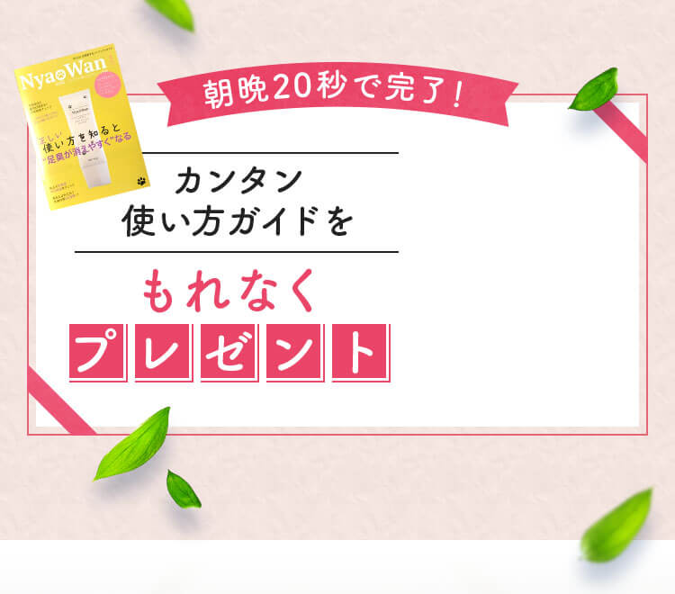 カンタン使い方ガイドをもれなくプレゼント