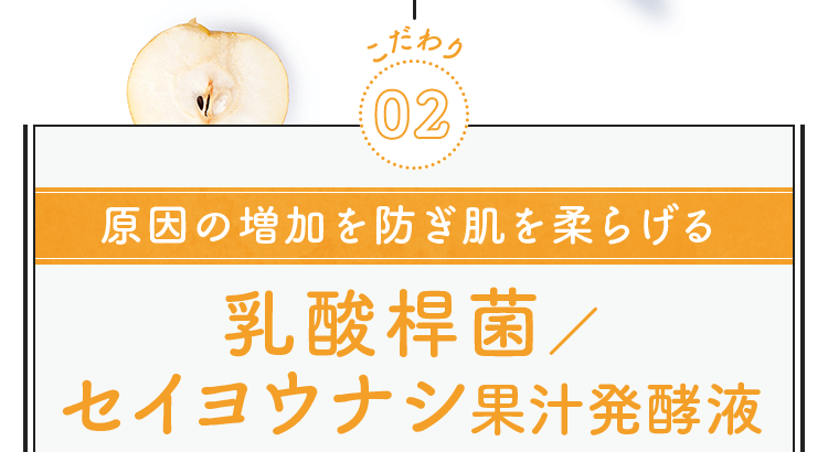 乳酸桿菌／セイヨウナシ果汁発酵液